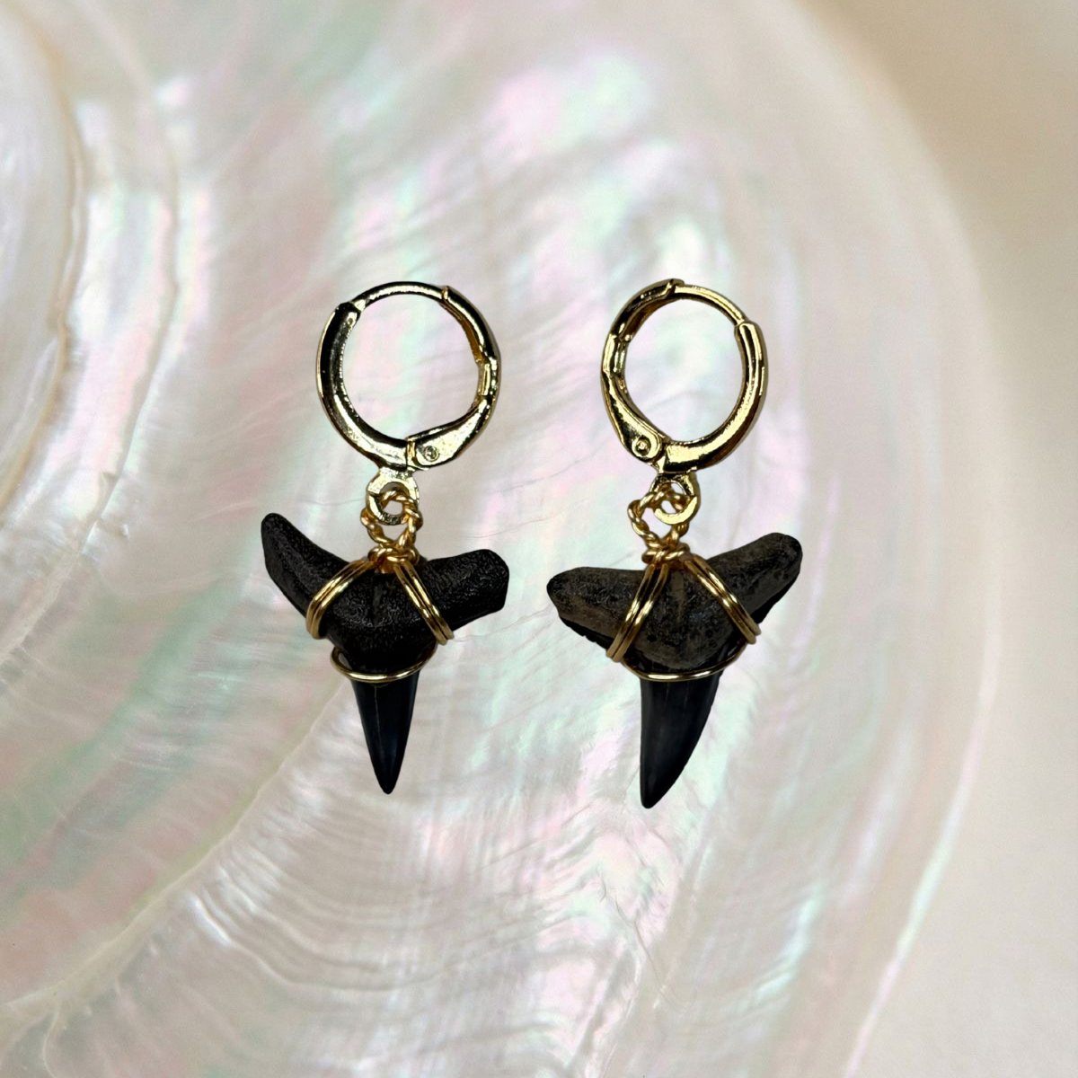 lemon shark teeth huggie earrings