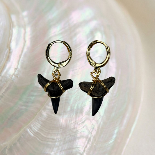 lemon shark teeth huggie earrings