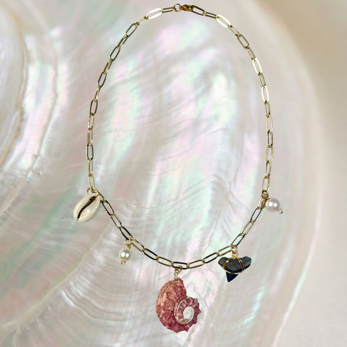 dolphin shell charm necklace