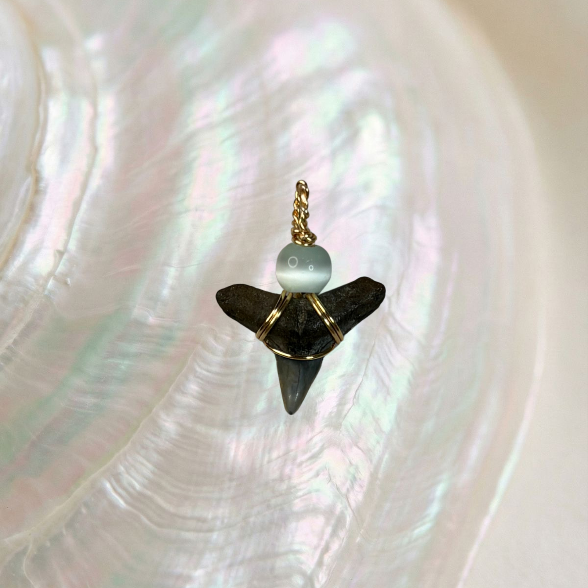 gold shark tooth pendant