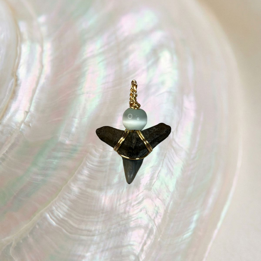 gold shark tooth pendant