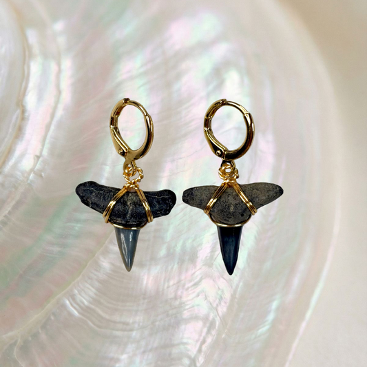 blacktip shark teeth huggie earrings
