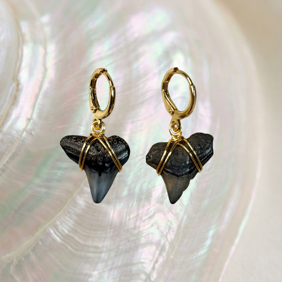 bull shark teeth huggie earrings