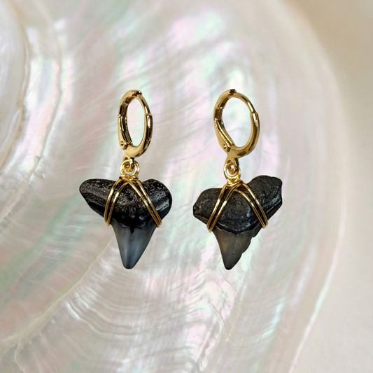 bull shark teeth huggie earrings